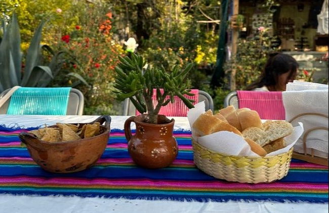 Paseo en barco por Xochimilco - Foto 4