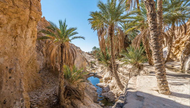 Tunisia 8-Day Tour - Foto 4