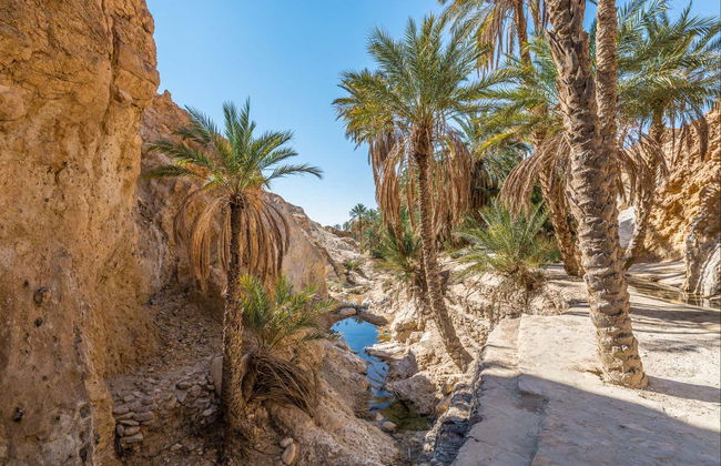 Tunisia 8-Day Tour - Photo 4