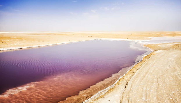 Tunisia 8-Day Tour - Foto 5