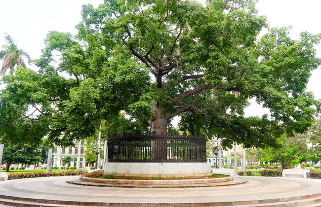 Centro Habana Free Tour - Photo 6
