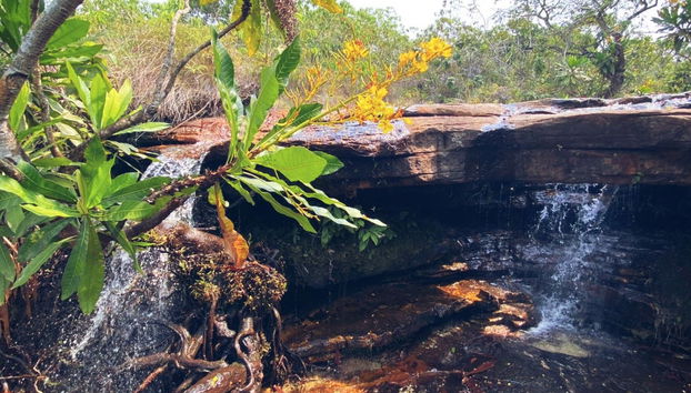 Trilha pelas cachoeiras Águas do Cerrado - Foto 5