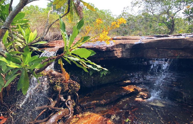Trilha pelas cachoeiras Águas do Cerrado - Foto 5