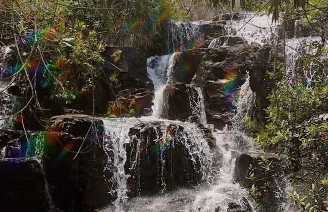 Trilha pelas cachoeiras Águas do Cerrado - Foto 7