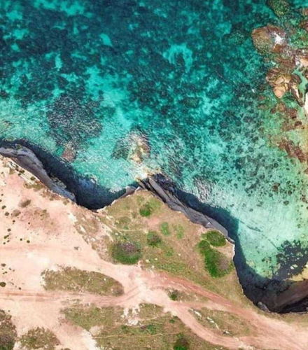 Foto - Crociera a Ortigia e alla Riserva Naturale di Plemmirio