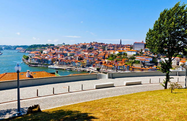Free tour por Vila Nova de Gaia - Foto 2