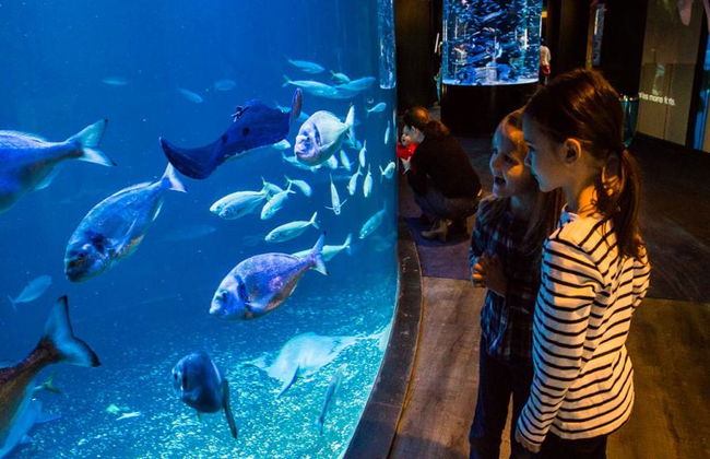 Aquarium de Paris - Foto 6