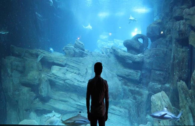 Aquarium de Paris - Foto 9