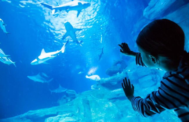 Aquarium de Paris - Foto 7