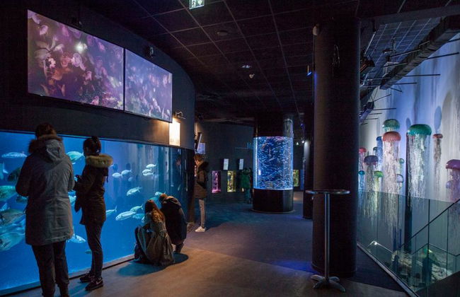 Aquarium de Paris - Foto 10