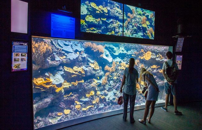 Aquarium de Paris - Foto 8