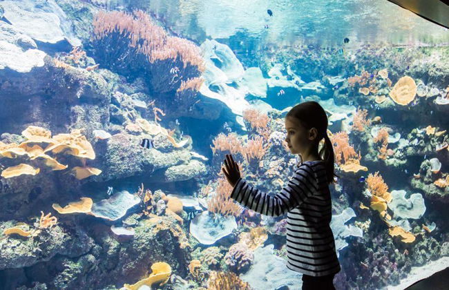 Aquarium de Paris - Foto 5
