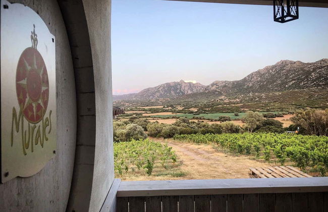 Visite du domaine Locanda Murales avec dégustation - Photo 2