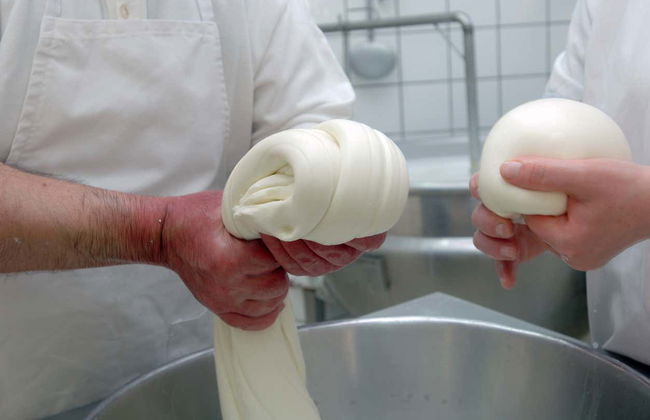 Paestum Cheese Factory Visit - Foto 6