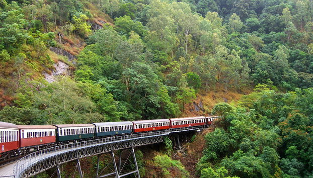 Foresta pluviale di Kuranda con Australian Butterfly - Foto 5
