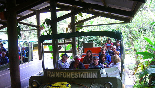 Foresta pluviale di Kuranda con Australian Butterfly - Foto 3