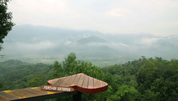 Punthuk Setumbu Hill Sunrise Private Tour - Foto 5