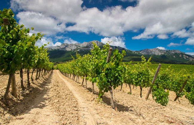 Excursión a Laguardia y Haro con visita a dos bodegas - Foto 8
