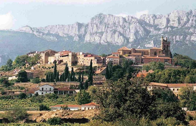 Excursión a Laguardia y Haro con visita a dos bodegas - Foto 3