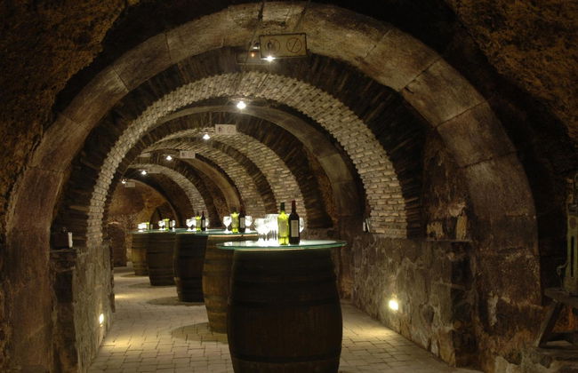 Excursión a Laguardia y Haro con visita a dos bodegas - Foto 6