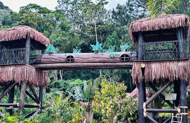 Entrada a Aventura Jurássica - Foto 1