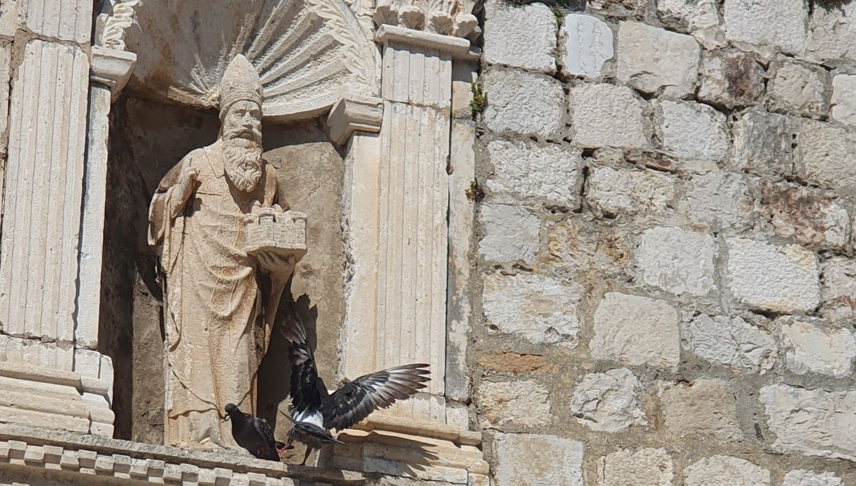 Free tour por el Dubrovnik histórico y los escenarios de Juego de Tronos