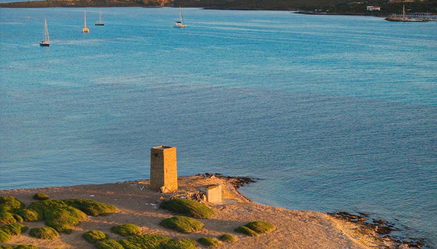 Asinara National Park Speedboat Trip - Foto 3