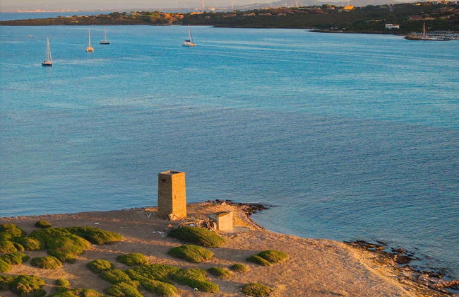 Escursione al Parco Nazionale dell’Asinara in gommone - Foto 3