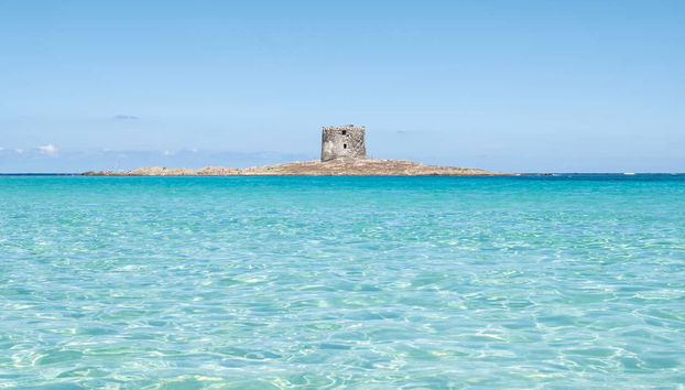 Asinara National Park Speedboat Trip - Foto 4