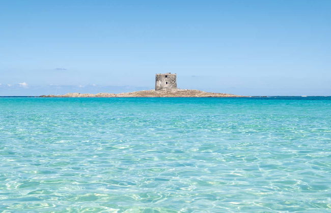 Escursione al Parco Nazionale dell’Asinara in gommone - Foto 4