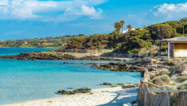 Asinara National Park Speedboat Trip - Foto 5
