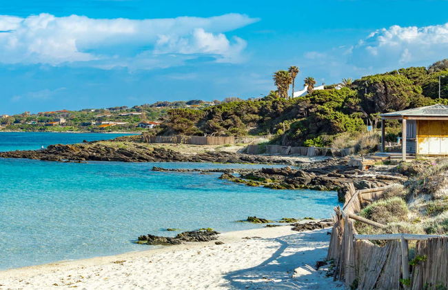 Escursione al Parco Nazionale dell’Asinara in gommone - Foto 5