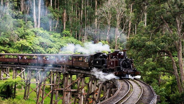 Puffing Billy Railway and Wildlife Tour - Foto 2