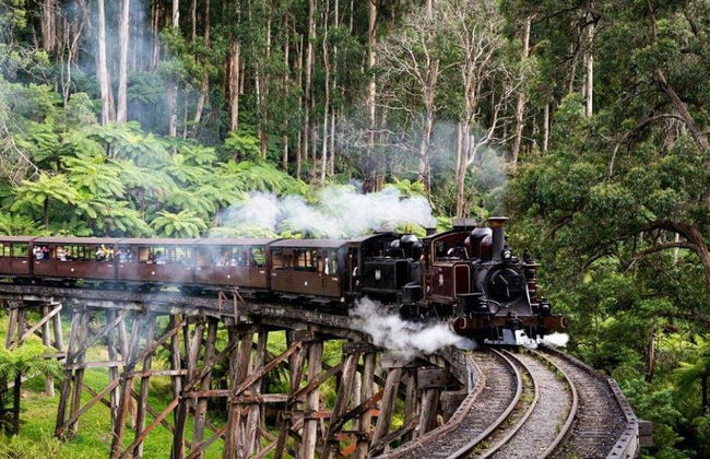 Puffing Billy Railway and Wildlife Tour - Foto 2