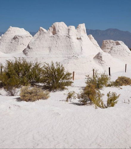 Foto de Excursión a Cuatro Ciénegas