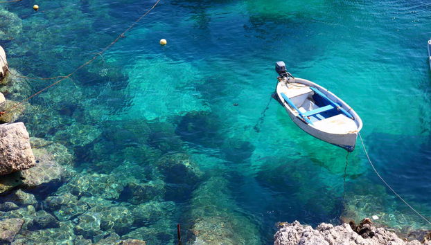 Escursione alle Isole Tremiti - Photo 5