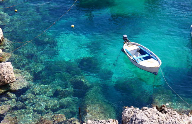 Escursione alle Isole Tremiti - Foto 5