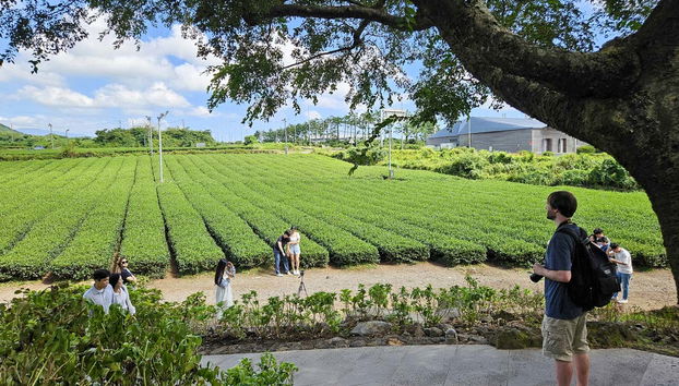 Visite de l'île de Jeju - Photo 5
