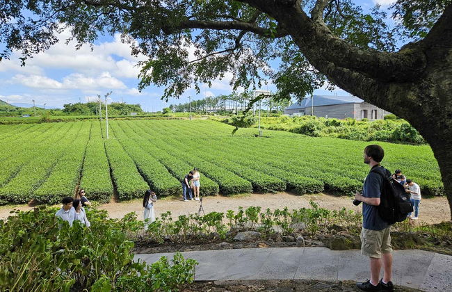 Tour por la isla de Jeju - Foto 5