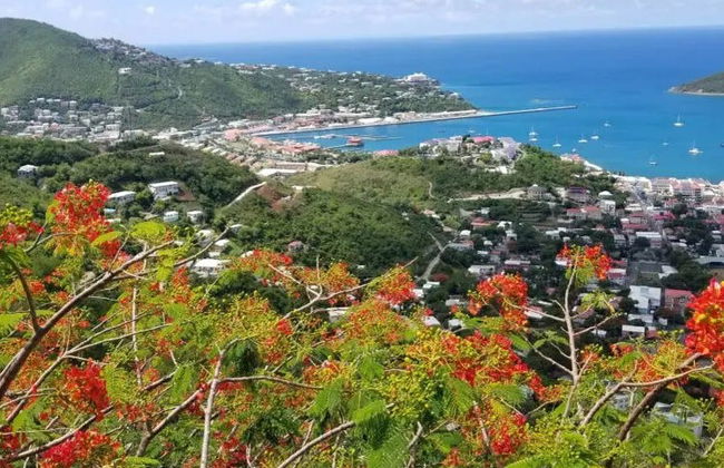 St. Thomas Panoramic Tour - Photo 7