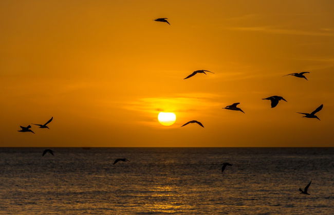 Key West Sunset Cruise - Photo 2