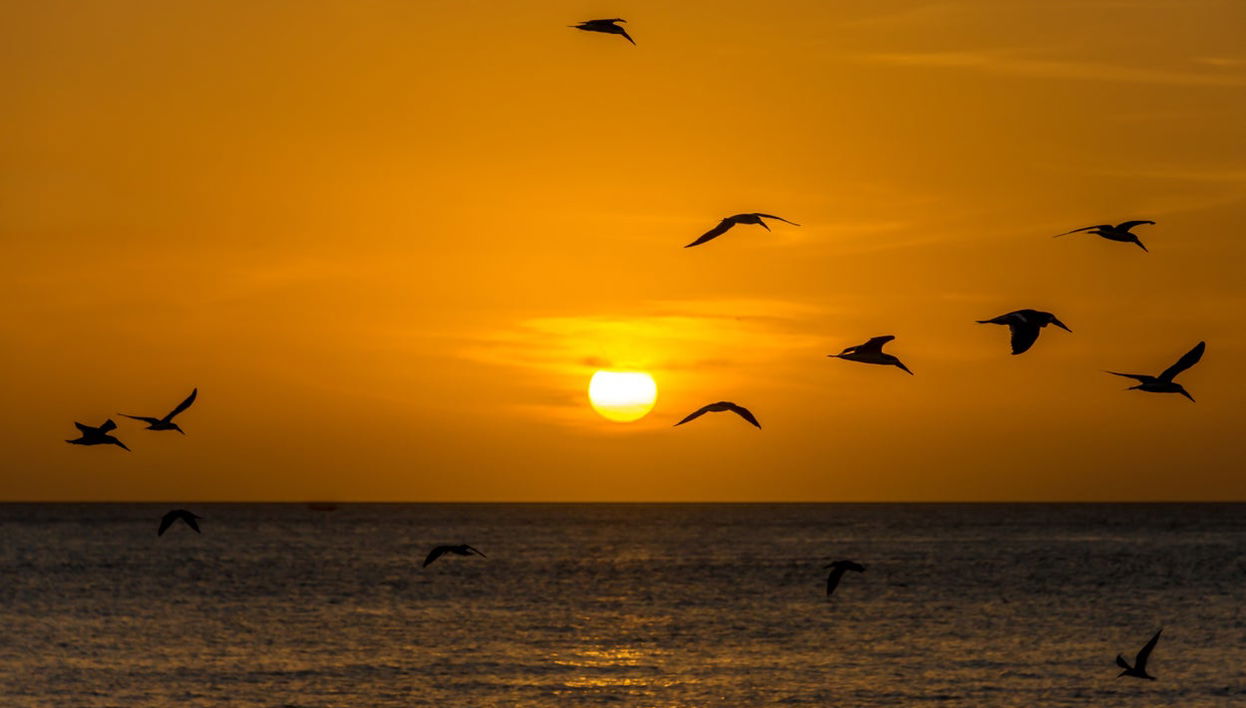 Key West Sunset Cruise + Aperitif - Photo 1
