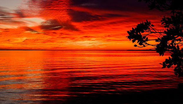 Key West Sunset Cruise + Aperitif - Photo 4