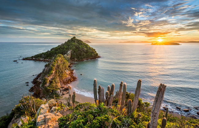 Randonnée vers la Ponta do Pai Vitório - Photo 6