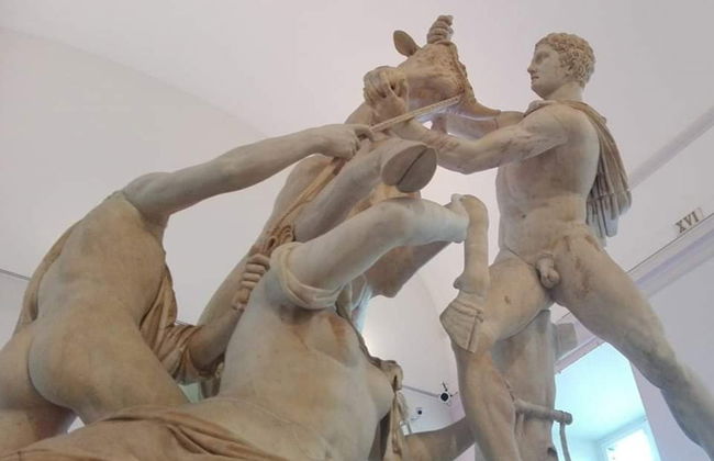 Visita guidata al Museo Archeologico di Napoli - Foto 7