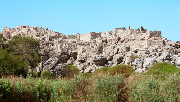 Excursión privada a Chiu Chiu y Pukara de Lasana - Foto 3