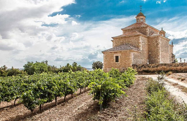 Visita às adegas Dominio Lubiano - Foto 2