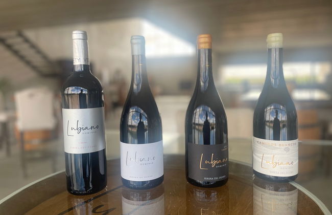 Visita às adegas Dominio Lubiano - Foto 7