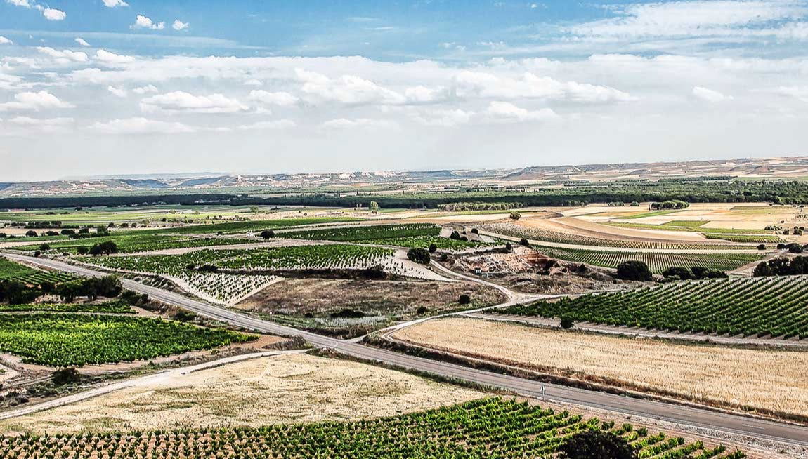 Visita a las bodegas Dominio Lubiano