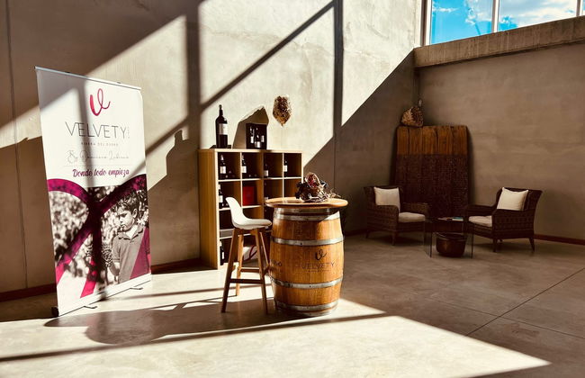 Visita às adegas Dominio Lubiano - Foto 6